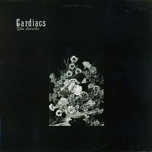 Cardiacs ‎– The Seaside