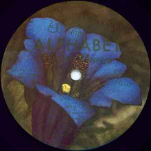Load image into Gallery viewer, Cardiacs ‎– The Seaside