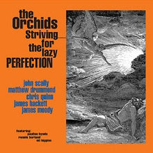 Load image into Gallery viewer, The Orchids (2) ‎– Striving For The Lazy Perfection