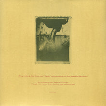 Load image into Gallery viewer, PIXIES - SURFER ROSA ( 12&quot; RECORD )