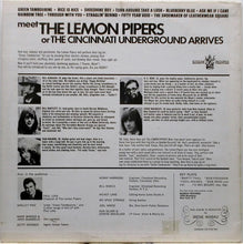 Load image into Gallery viewer, The Lemon Pipers – Green Tambourine