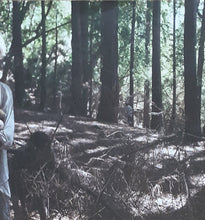 Load image into Gallery viewer, Liars ‎– Sisterworld