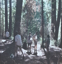 Load image into Gallery viewer, Liars ‎– Sisterworld