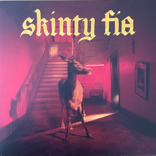 Fontaines D.C. – Skinty Fia