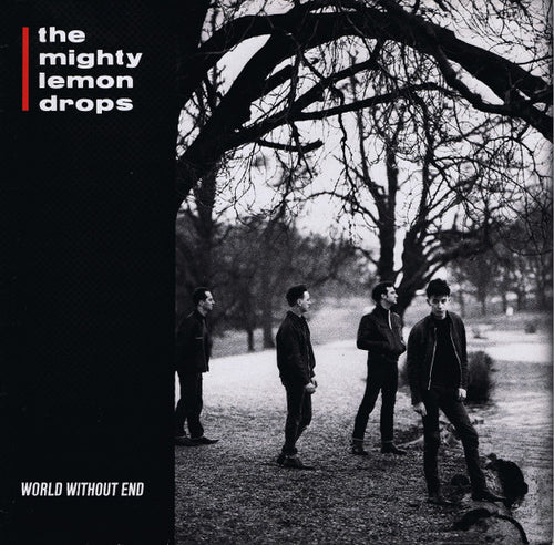 The Mighty Lemon Drops – World Without End
