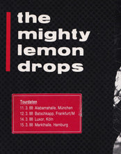 Load image into Gallery viewer, The Mighty Lemon Drops – World Without End