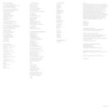 Load image into Gallery viewer, Kashmir (2) ‎– Zitilites