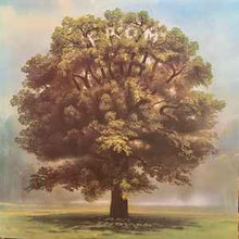 Load image into Gallery viewer, Ray Thomas – From Mighty Oaks