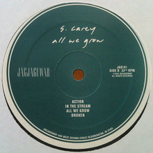 Load image into Gallery viewer, S. CAREY - ALL WE GROW ( 12&quot; RECORD )