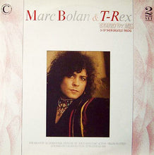 Load image into Gallery viewer, Marc Bolan &amp; T-Rex ‎– Stand By Me