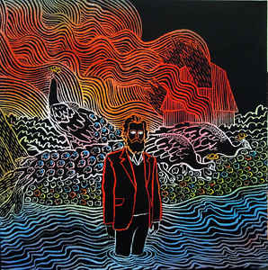IRON & WINE - KISS EACH OTHER CLEAN ( 12" RECORD )
