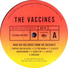 Load image into Gallery viewer, The Vaccines – What Did You Expect From The Vaccines?