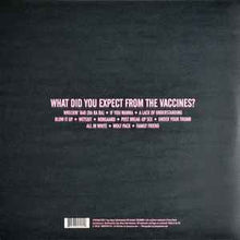 Load image into Gallery viewer, The Vaccines – What Did You Expect From The Vaccines?