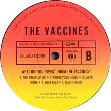 Load image into Gallery viewer, The Vaccines – What Did You Expect From The Vaccines?
