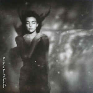 THIS MORTAL COIL - IT LL END IN TEARS ( 12" RECORD )