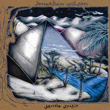 Load image into Gallery viewer, JONATHAN WILSON - GENTLE SPIRIT ( 12&quot; RECORD )