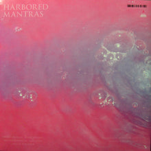 Load image into Gallery viewer, WATER BORDERS - HARBORED MANTRAS ( 12&quot; RECORD )