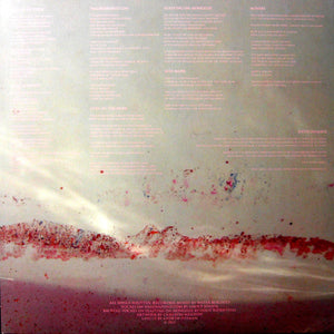 WATER BORDERS - HARBORED MANTRAS ( 12" RECORD )