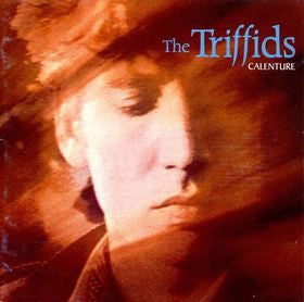 The Triffids – Calenture