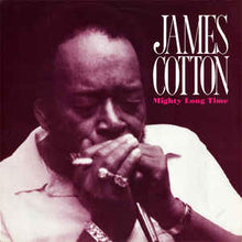 Load image into Gallery viewer, JAMES COTTON - MIGHTY LONG TIME ( 12&quot; RECORD )