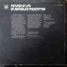 Load image into Gallery viewer, Dr. Marigold&#39;s Prescription - Pictures Of Life (LP, Album)