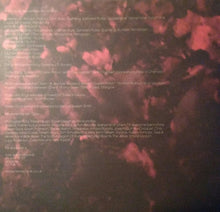 Load image into Gallery viewer, REMEMBER REMEMBER - THE QUICKENING ( 12&quot; RECORD )