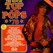 Load image into Gallery viewer, The Top Of The Poppers – The Best Of Top Of The Pops *&#39;78*