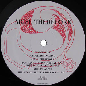 PALACE MUSIC - ARISE THEREFORE ( 12" RECORD )