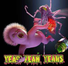 Load image into Gallery viewer, Yeah Yeah Yeahs – Mosquito