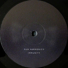 Load image into Gallery viewer, JON HOPKINS - IMMUNITY ( 12&quot; RECORD )