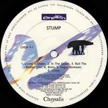 Load image into Gallery viewer, Stump – A Fierce Pancake