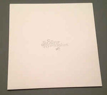 Load image into Gallery viewer, OKKERVIL RIVER - THE SILVER GYMNASIUM ( 12&quot; RECORD )