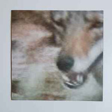 Load image into Gallery viewer, Brand New – The Devil And God Are Raging Inside Me