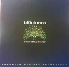 Load image into Gallery viewer, The Bluetones ‎– Expecting To Fly