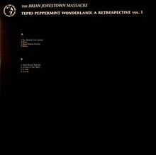 Load image into Gallery viewer, The Brian Jonestown Massacre – Tepid Peppermint Wonderland: A Retrospective (Volume One)