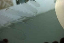 Load image into Gallery viewer, Warpaint ‎– Warpaint