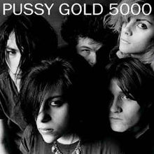 Load image into Gallery viewer, Pussy Galore (2) - Pussy Gold 5000 (LP ALBUM)