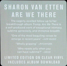 Load image into Gallery viewer, SHARON VAN ETTEN - ARE WE THERE ( 12&quot; RECORD )