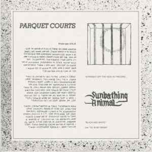 Parquet Courts ‎– Sunbathing Animal
