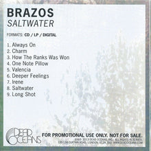 Load image into Gallery viewer, BRAZOS - SALTWATER ( 12&quot; RECORD )