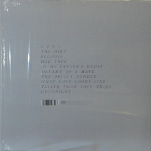 MIREL WAGNER - WHEN THE CELLAR CHILDREN SEE THE LIGHT OF DAY ( 12