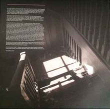Load image into Gallery viewer, Jamie T ‎– Carry On The Grudge