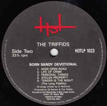 Load image into Gallery viewer, The Triffids – Born Sandy Devotional