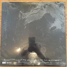 Load image into Gallery viewer, THE SMASHING PUMPKINS - MONUMENTS TO AN ELEGY ( 12&quot; RECORD )