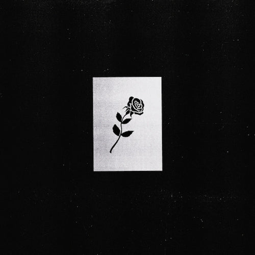 SHLOHMO - DARK RED ( 12