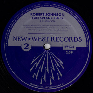STEVE EARLE & ROBERT JOHNSON - TERRAPLANE BLUES ( 10" RECORD )
