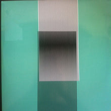Load image into Gallery viewer, HOT CHIP - WHY MAKE SENSE? ( 12&quot; RECORD )