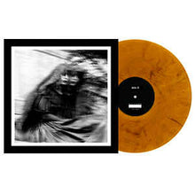 Load image into Gallery viewer, GALLOWS - DESOLATION SOUNDS ( 12&quot; RECORD )