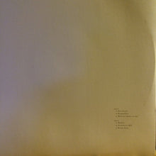 Load image into Gallery viewer, RED HOUSE PAINTERS - ROLLERCOASTER ( 12&quot; RECORD )