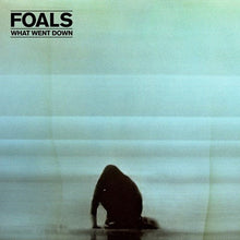 Load image into Gallery viewer, Copy of Foals ‎– What Went Down